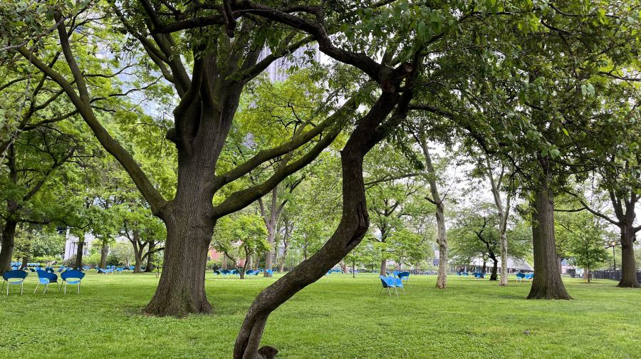 美國紐約巴特里公園+自由女神像+中央公園+華爾街一日遊