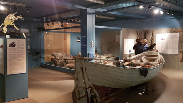 Icelandic Seal Center