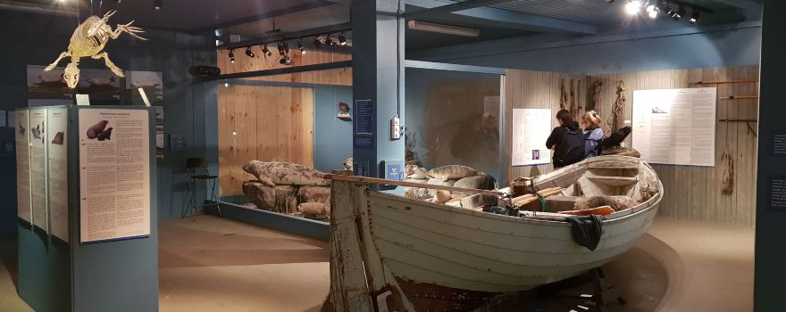 Icelandic Seal Center
