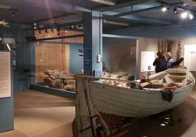 Icelandic Seal Center