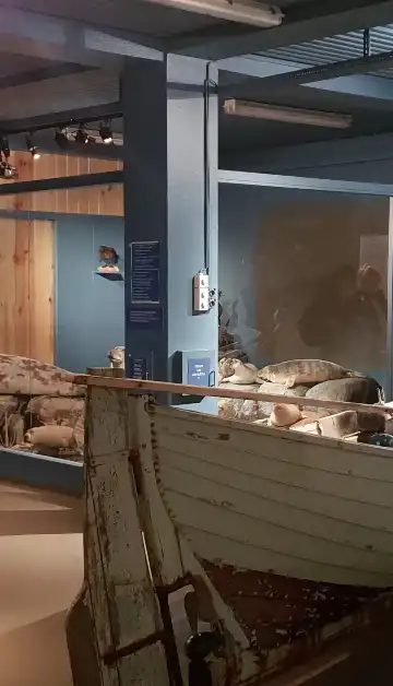 鄰近海豹中心的酒店