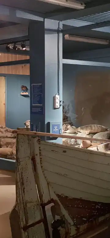 鄰近Hótel Hvammstangi的酒店