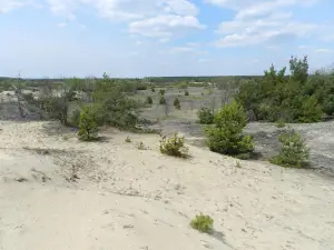 Mizhrichynskyi Regional Landscape Park