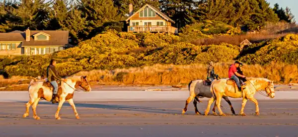 Bandon