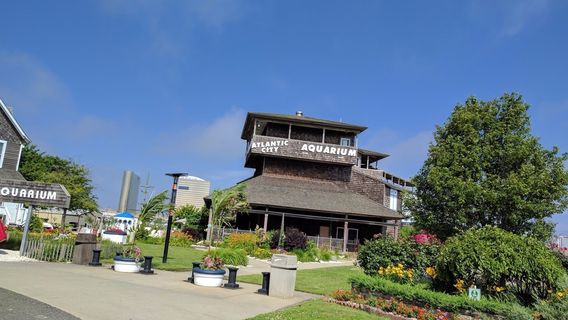 Аквариум Атлантик-Сити