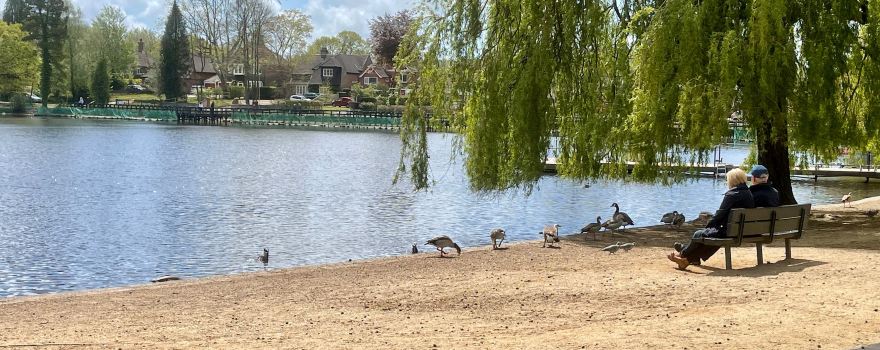 Petersfield Heath & Pond/Lake