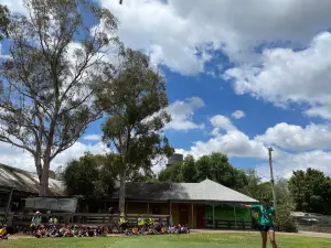Calmsley Hill City Farm