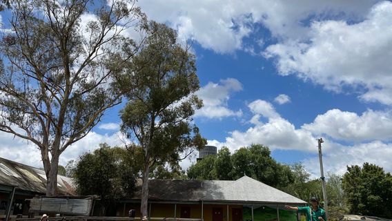 Calmsley Hill City Farm