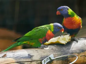 Zoo Schwerin