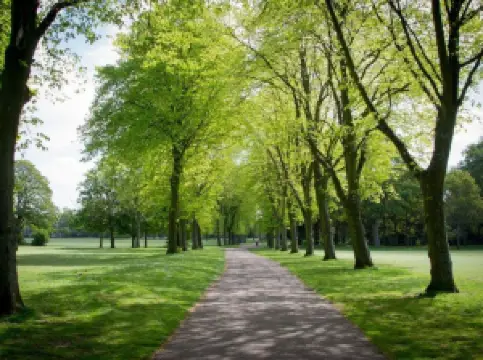 Birkenhead Park