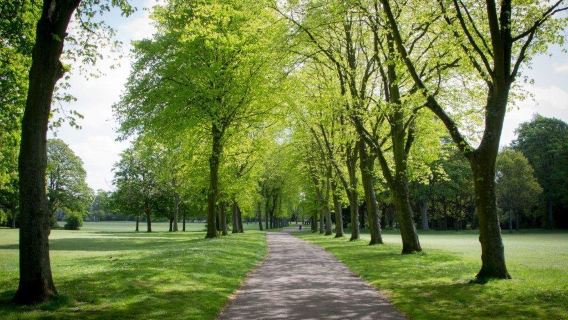 Parc Birkenhead