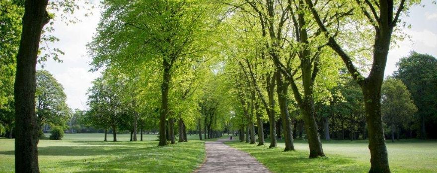 Birkenhead Park