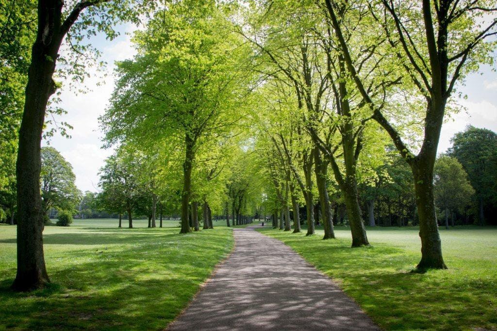 Birkenhead Park