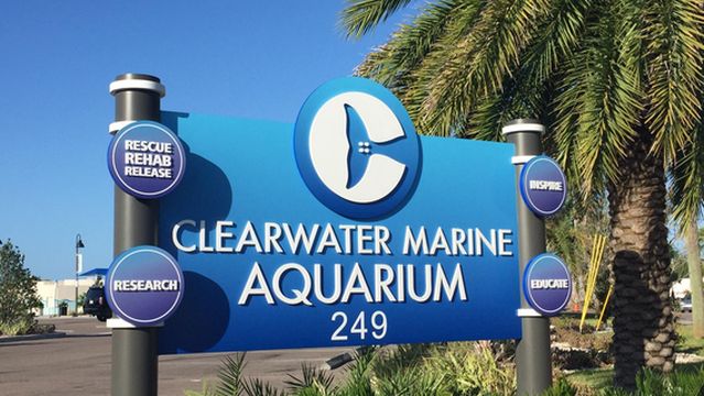 Clearwater Marine Aquarium