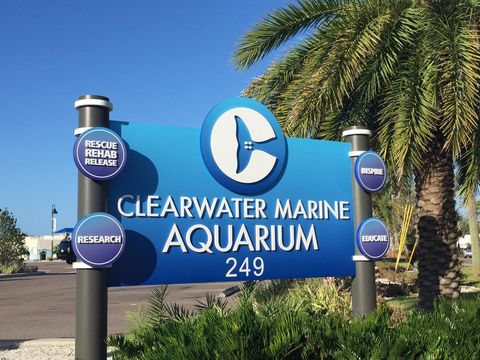 Clearwater Marine Aquarium