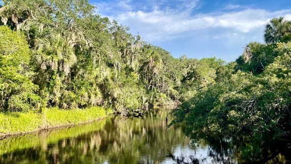 Turkey Creek Sanctuary