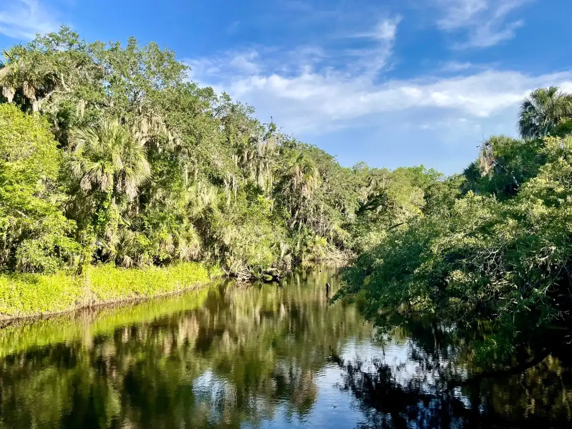 Hotels near Turkey Creek Sanctuary