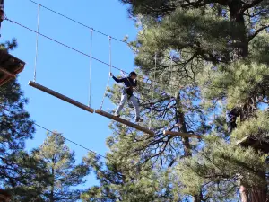 Flagstaff Extreme Adventure Course