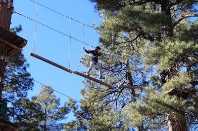 Flagstaff Extreme Adventure Course