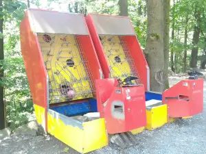 Forest Park of Surprises