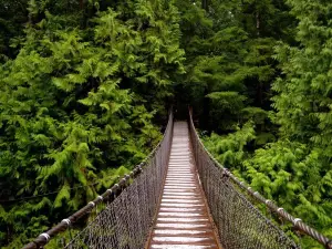 Lynn Canyon Suspension Bridge