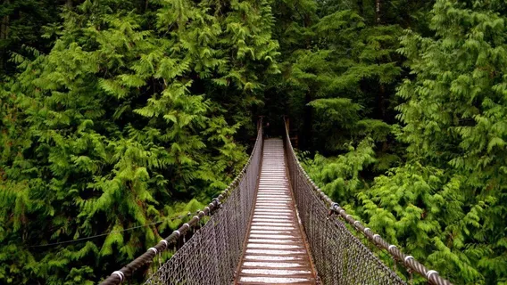 Lynn Canyon Suspension Bridge