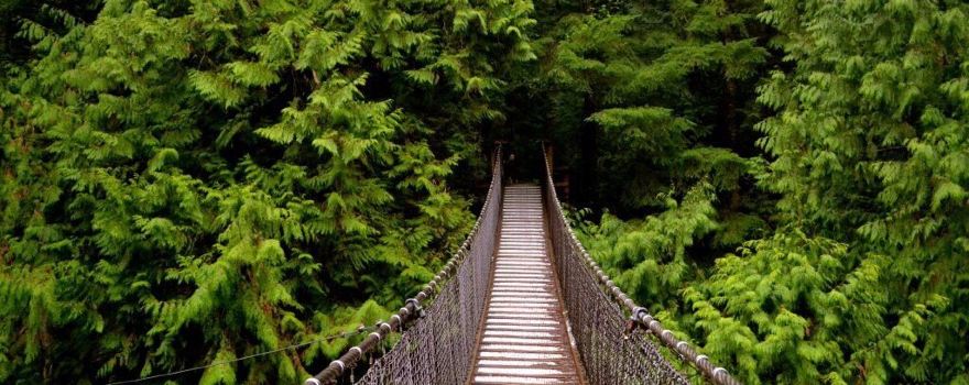 Lynn Canyon Suspension Bridge