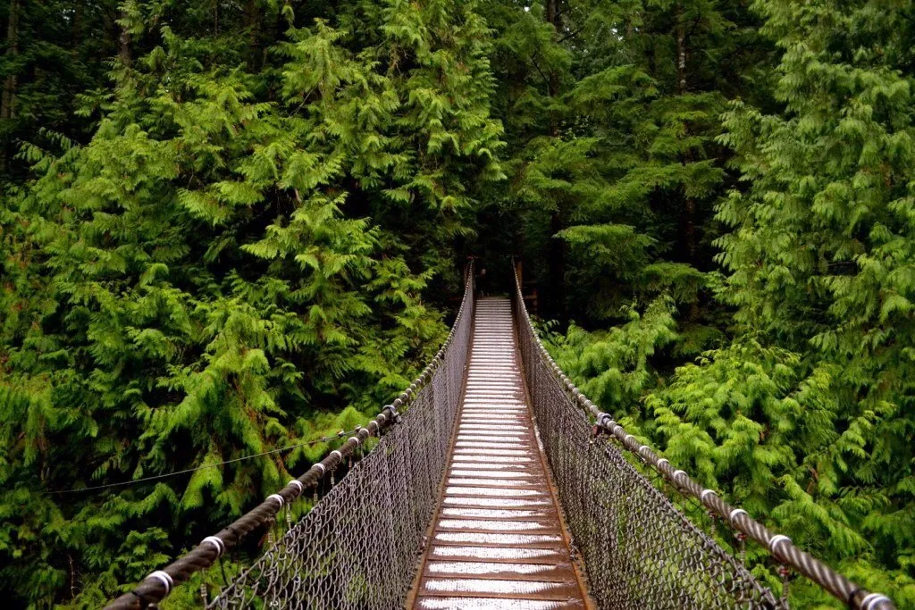 1_Lynn Canyon Suspension Bridge