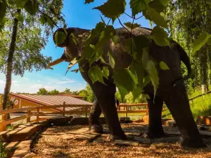 Dino Park