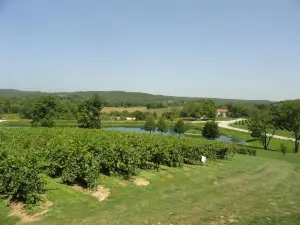 Chandler Hill Vineyards