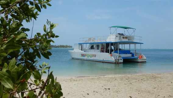 Splash Sports Catamaran Cruises