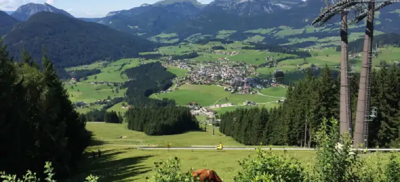 Hotels in Abtenau