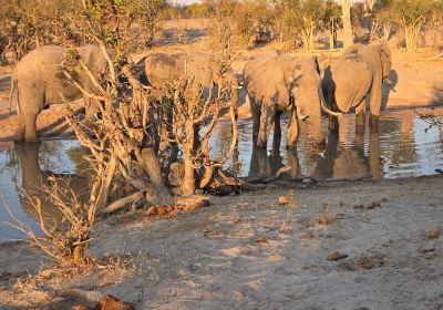 Moremi Wildlife Reserve