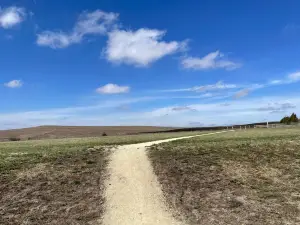 Tallgrass Prairie National Preserve
