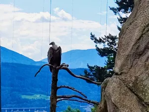 Alpenzoo Innsbruck - Tirol