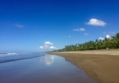 Playa Matapalo
