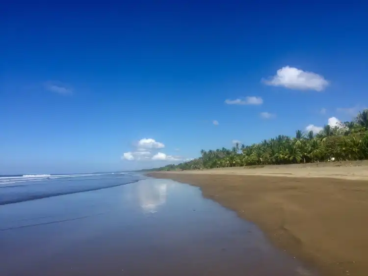 Hotels near Playa Matapalo