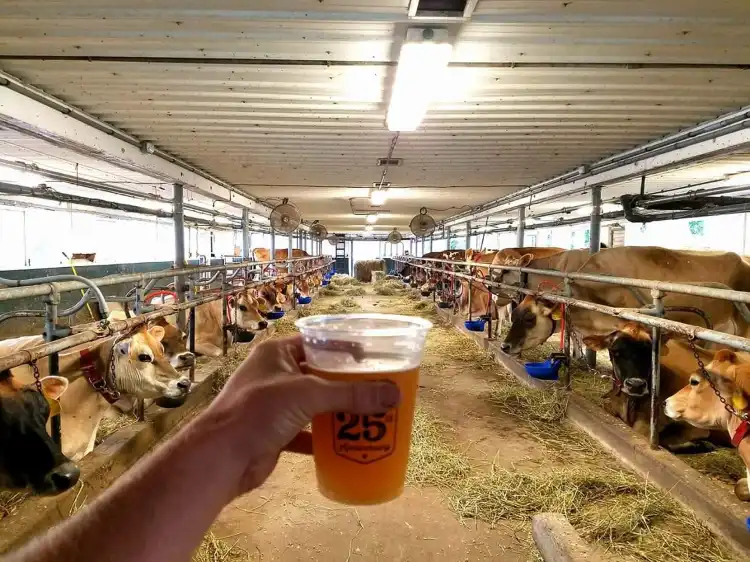 컴벌랜드 팜 주변 호텔