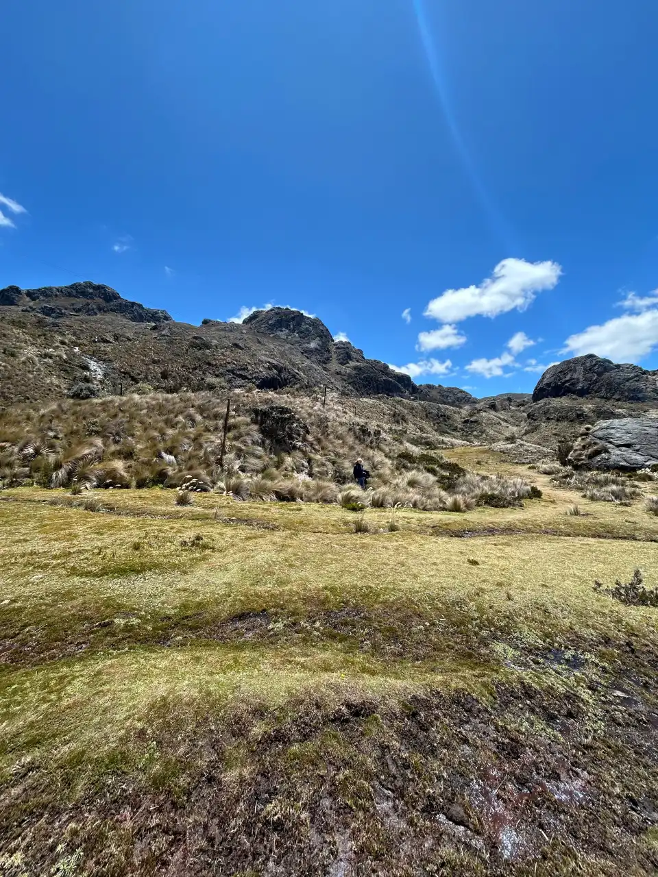 5_Parque Nacional Cajas