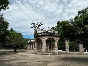 Rock Garden