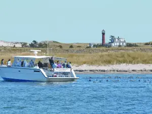 Monomoy Island Excursions