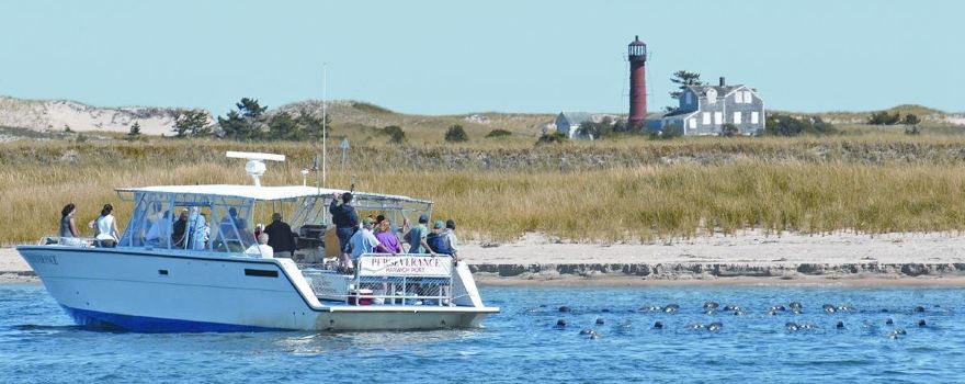 Monomoy Island Excursions