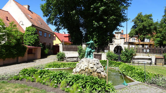 Botaniska Tradgarden