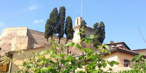 Rocca di Meldola