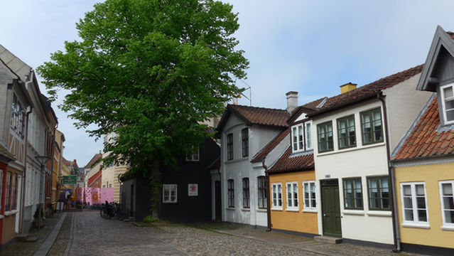 Fyn's Graphic Workshop