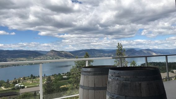 Lang Vineyards