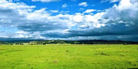 Cootamundra Heritage Centre