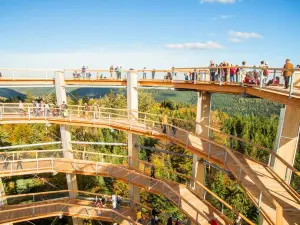 Black Forest treetop path
