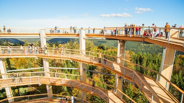 Treetop Walk Black Forest