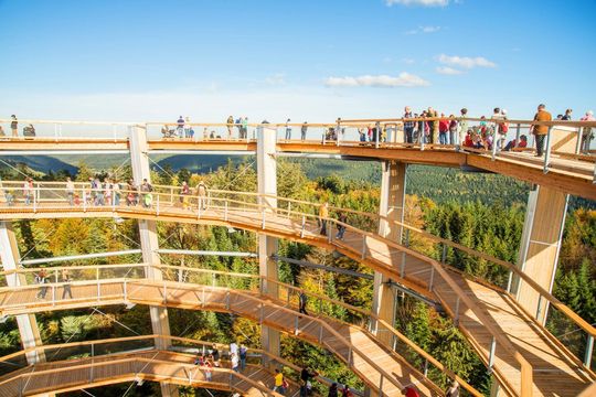 Treetop Walk Black Forest